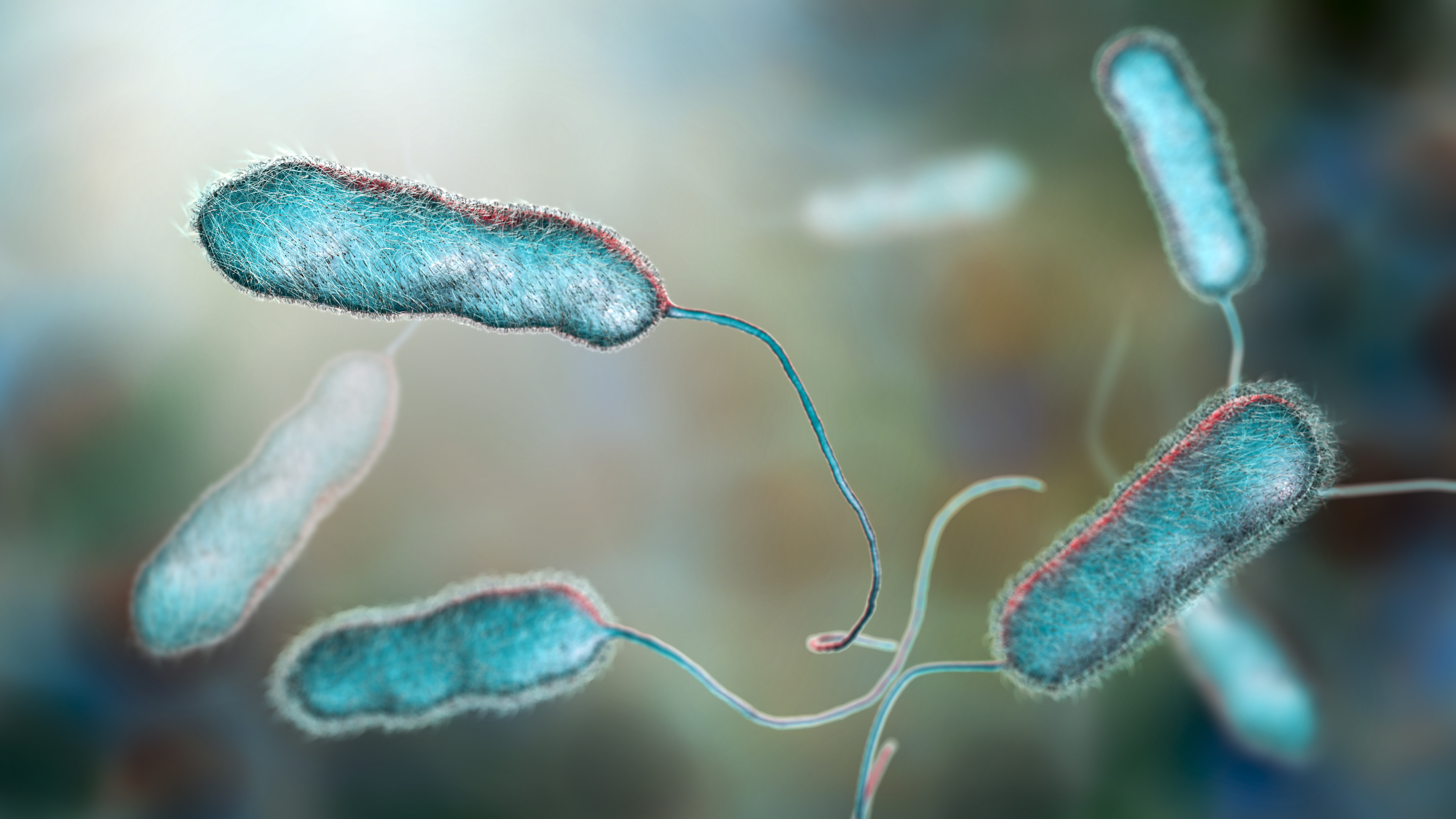 PE1021_Legionella-bacteria.jpg