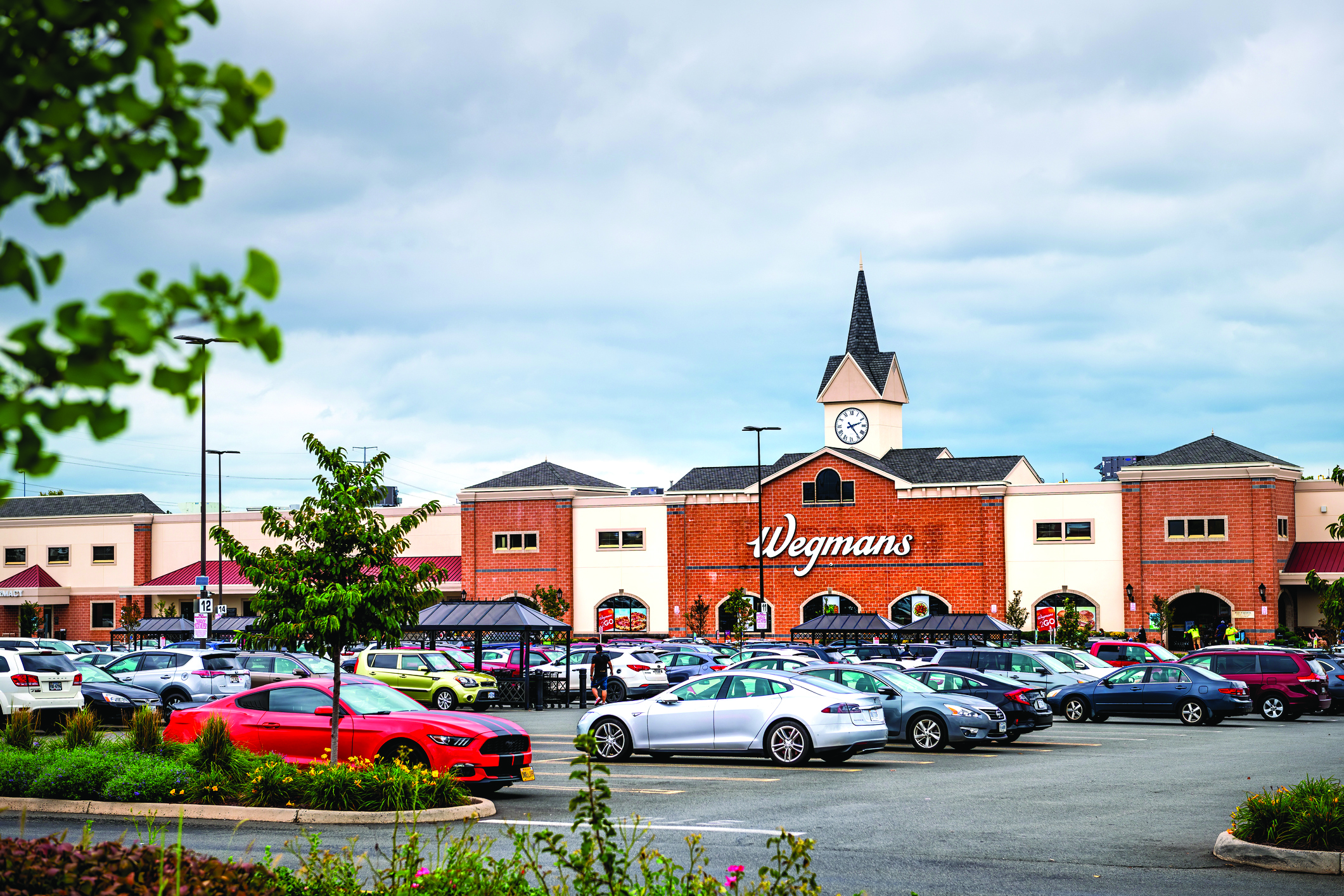 TW1121_Northern-Virginia-Wegmans.jpg