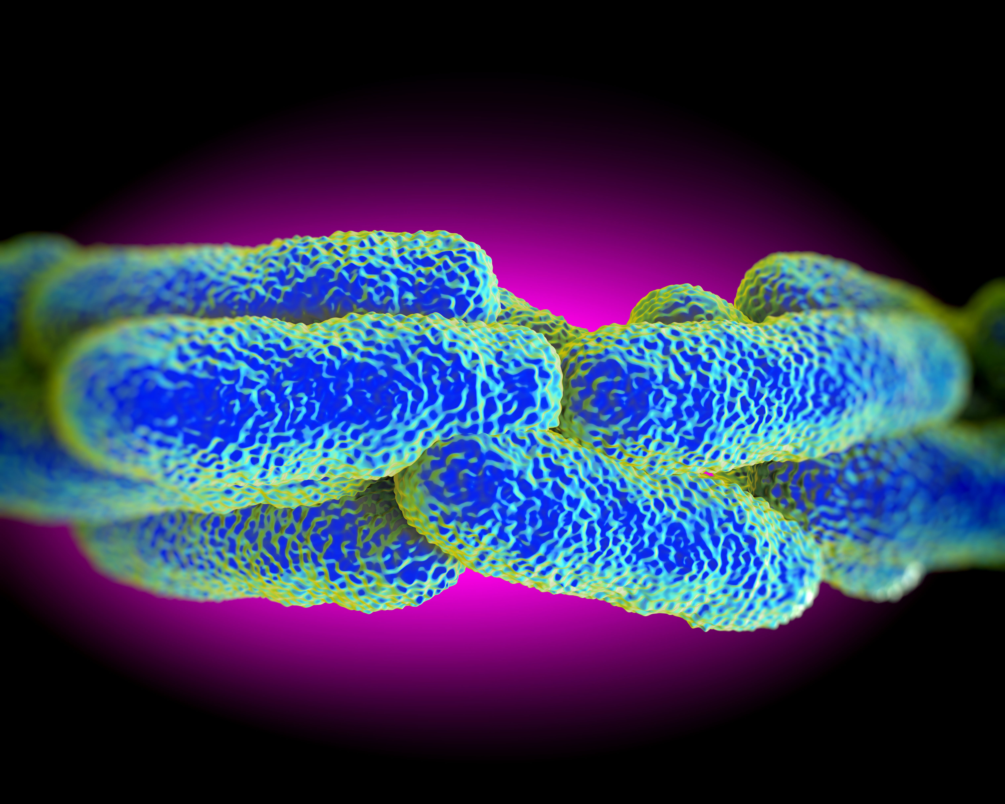 PE0322_Legionella.jpg