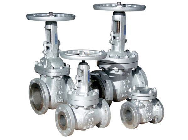 Newmans Valve Announced as NEWCO Valve Supplier for Western Hemisphere  copy.jpg