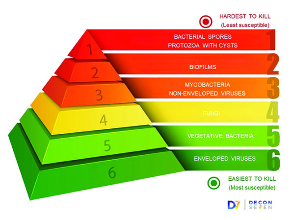 TW0824_Decon7 Hardest to Kill Pathogens.jpg