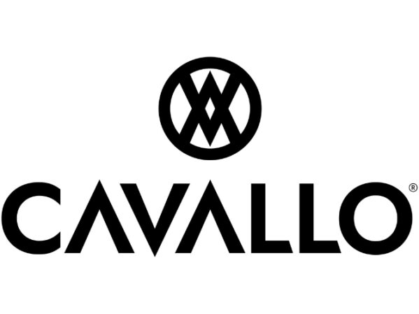 Cavallo Unveils New Customer Analytics Tools in Order Intelligence Platform.jpg