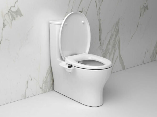 Bio Bidet by Bemis Research More Americans Planning DIY Projects.jpg