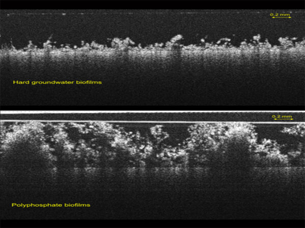 Chemicals that Keep Drinking Water Flowing may also Cause Fouling