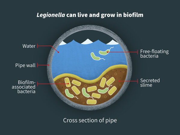 NIST Identifies Critical Needs for Improved Plumbing