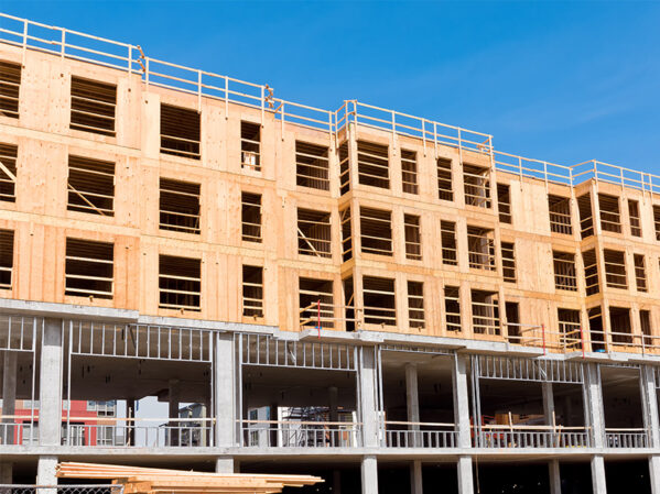 Tall Timber Buildings 