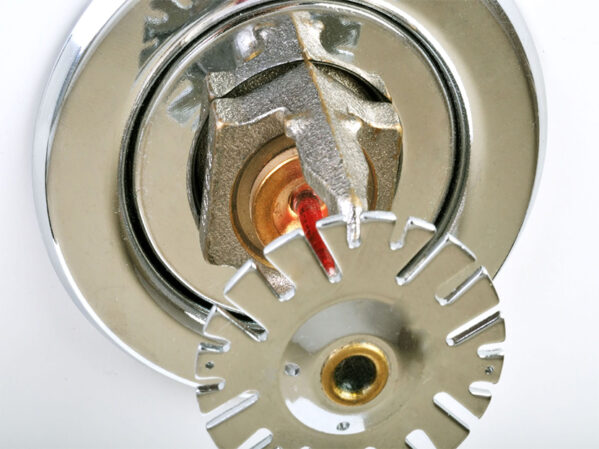 Commercial Fire Sprinkler